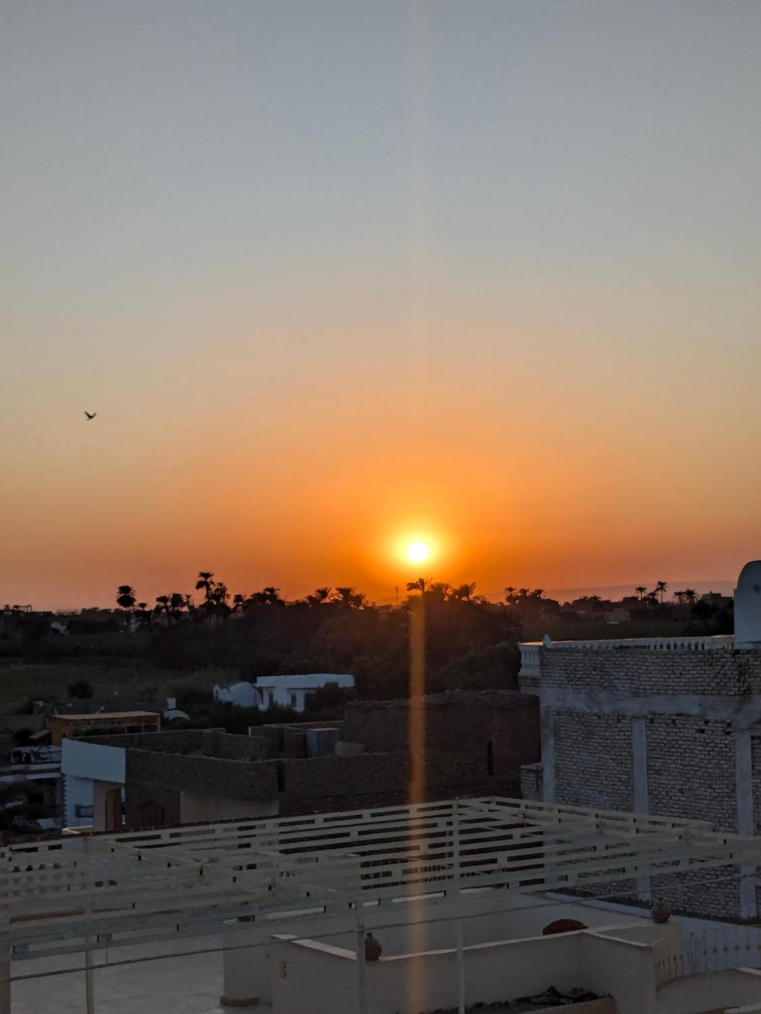 Al Ramla Guest House Luxor Eksteriør bilde